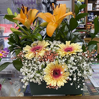 Imagen Arreglos florales en Tabernas